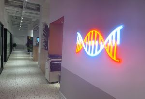 Right Suntone office corridor with neon DNA sign